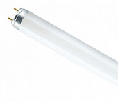 Лампа линейная люминесцентная Osram L 36W/765 Смоленск