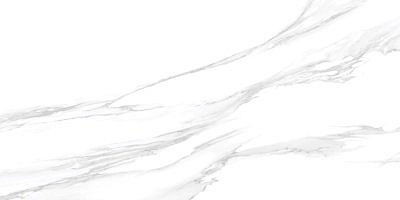 Керамогранит DELACORA Statuario Silver Matt 60120GP42STA00  matt 600*1200*8 