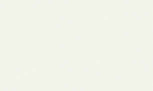 Обои Erismann 12103-01 Fashion for Walls 1,06*10м 