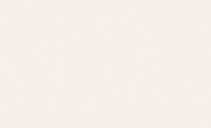 Обои Erismann 12103-14 Fashion for Walls 1,06*10м 