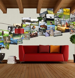 Коллаж Загородные пейзажи 1waii Villager Jim, набор 64 постера