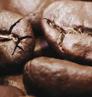 Обои 2164-02  Mischen Possible  кофе  фотопанно