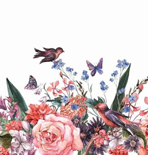 Фотообои D2-076 Птицы на цветах 300х270 см