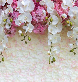 Фотообои А185 Каскад орхидей 294*260