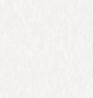 Обои NewAGe 8894-11NA 1,06*10м    