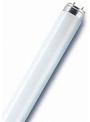 Лампа линейная люминесцентная Osram L 36W/640 G13 Смоленск