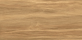 Плитка керамическая AltaCera Portland Dark WT9POT21 249*500