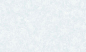 Обои Erismann 60613-05 Amur 1,06*10м 