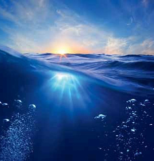 Фотообои В1-072 Линия воды 300х270 см