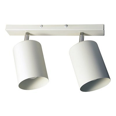 Светильник потолочный ЭЛЕТЕХ Спот 01-2х60 513 белый матовый