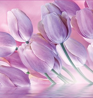 Фотообои Весенняя акварель 294*260