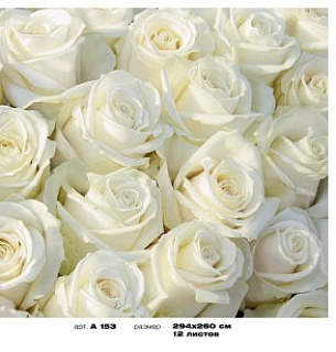 Фотообои Букет Лирика 294*260