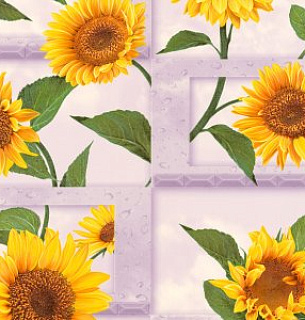 Обои Подсолнух 757367-06