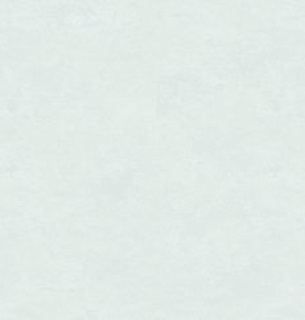 Обои Erismann 60596-02 Profi Deco Oasis 1,06*10м