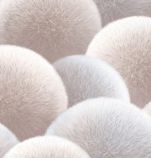 Обои AnturAGe 8889-13AN 1,06*10м