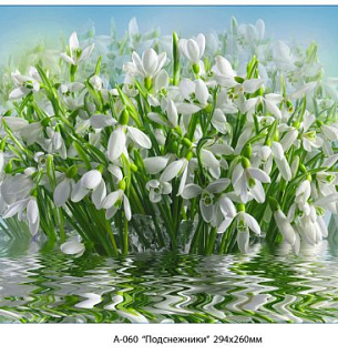 Фотообои Подснежники 294*260