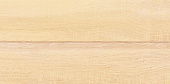 Плитка керамическая AltaCera Briole Wood WT9BRE11 249*500