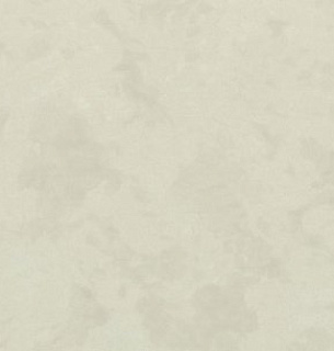 Обои EuroDecor 7238-04 1,06*10м  