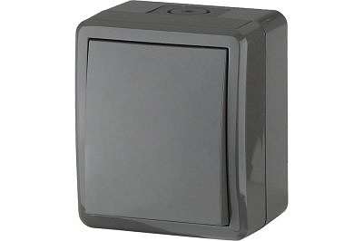 Выключатель ЭРА 11-1401-03 IP54, 10АХ-250В, открытой установки, Era Эксперт, серый Б0020670 