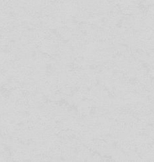 Обои AnturAGe 8892-26AN 1,06*10м 