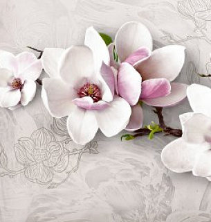 Фотообои Новый стиль 392*260