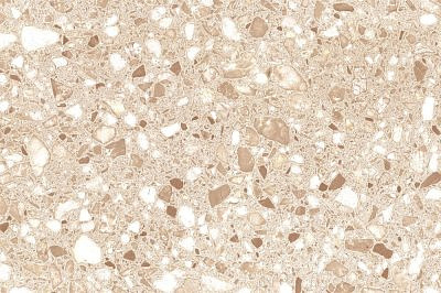 Пальмира кор. низ 20*30