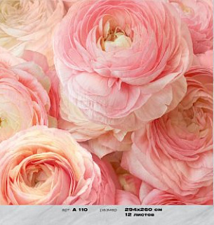 Фотообои Пионы 294*260