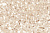 Пальмира кор. низ 20*30