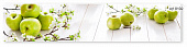 Фартук кухонный Яблоки (2800х610х6мм) МДФ высокоглянцевый Panda art.0102