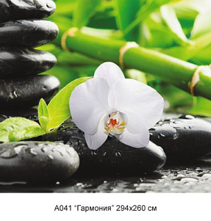 Фотообои А 041 Гармония 