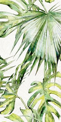 Фёрнс салатный (07-00-5-18-00-81-1604) 30х60