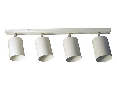 Светильник потолочный ЭЛЕТЕХ Спот 01-4х60 513 белый матовый