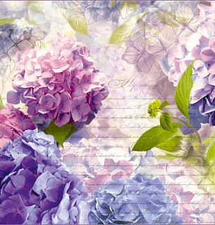 Фотообои А105 Поэзия 294*260