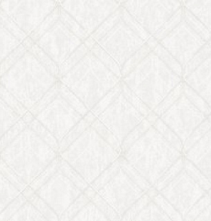 Обои NewAGe 8893-21NA 1,06*10м   