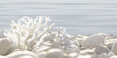 Дель Мар/Del Mare DWU09DLM624 декор 249*500*7,5 (12 шт. в коробке)