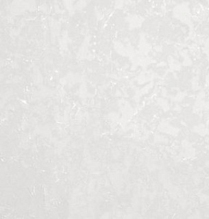 Обои Solo 588395 SL Garden 1,06*10м 