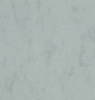 Обои ЕвроДекор 7297-04 Ray 1,06*10м  