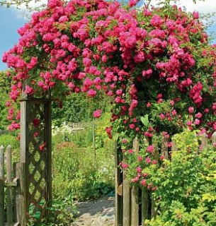 Фотообои D-073 Ворота в сад 200х270 см