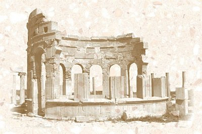 Пальмира D 20*30