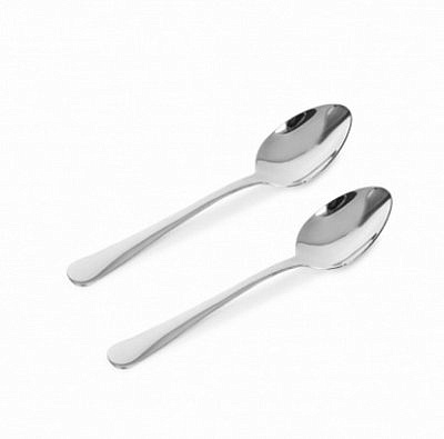 Ложка столовая NORDIC 2 штуки DMC081