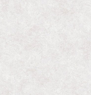 Обои Erismann 60846-04 Profi Deco Maison 1,06*10м 