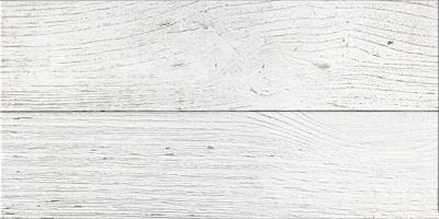 GT12VG Настенная плитка Сан-Ремо / San Remo Бел. 25x50 _ 1\74,25