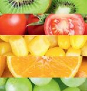 Фотообои В1-040 Фрукты и овощи 100*270