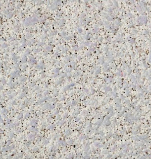 Обои жидкие SILK PLASTER Престиж Г-406 б/б