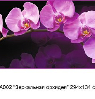 Фотообои А 002 Зеркальная орхидея