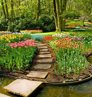 Фотообои D2-057 Дорожка в парк 300х270 см