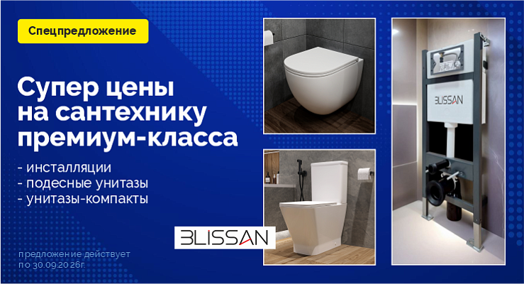 Супер цены на Блиссан
