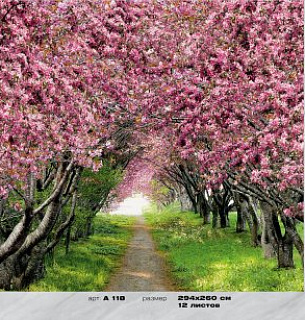 Фотообои Аллея в саду 294*260