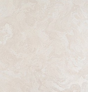 10743-06 Венера 1,06*10м