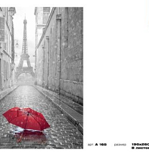 Фотообои Парижский дождь 196*260
